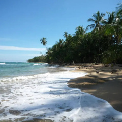 Mar Verde Lodge thumbnail 3