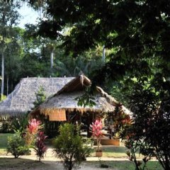 Danpaati River Lodge in Paramaribo, Suriname from 110$, photos, reviews - zenhotels.com photo 13