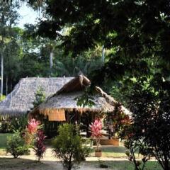 Danpaati River Lodge in Paramaribo, Suriname from 119$, photos, reviews - zenhotels.com photo 15