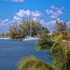 Sea Cove in North Side, Cayman Islands from 571$, photos, reviews - zenhotels.com photo 11