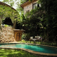 Roots Tree House - Bild 14