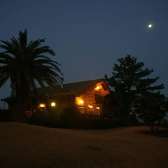 Sunny Day Jeju Pension thumbnail 23