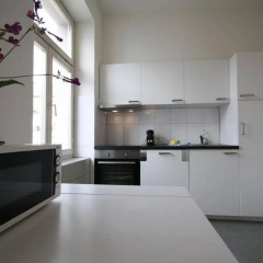 ZH Seefeld - Hitrental Apartment - Bild 20