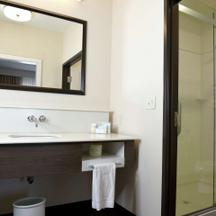 Hampton Inn Kalamazoo thumbnail 9