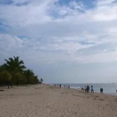 Marari Cleetus beach homestay thumbnail 8