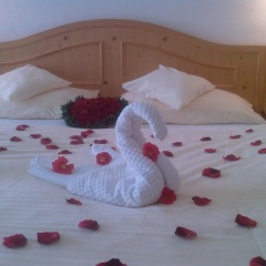 Hotel Schatten - Bild 3