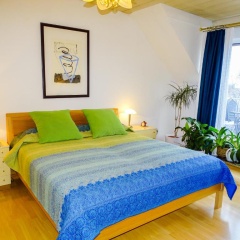City-Dachapartment Mainz - Bild 1