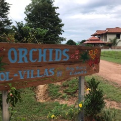 Orchid Pool -Villa 3 bedrooms - Bild 9