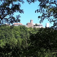 Hotel Garni Hennesburg - Bild 29