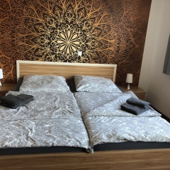 Mitte 24 - Bild 5