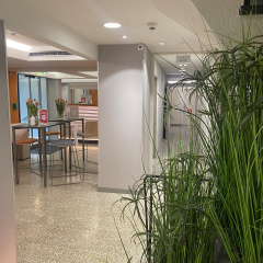 Royal Hotel Zurich - Bild 28