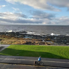 Wood Court, Troon thumbnail 3