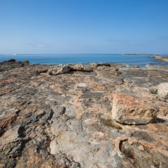 Son Homs - Bild 10