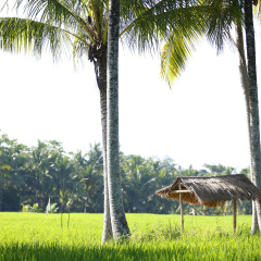 The LUXE Ubud, a Boutique Hotel - Bild 22