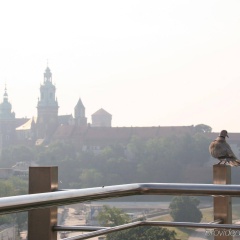 Hotel Kossak - Bild 18