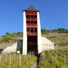 Gästehaus Rheinromantik - Bild 10