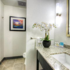 Hampton Inn Houston I-10 East thumbnail 17