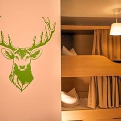 Bestharzinn - Bild 4