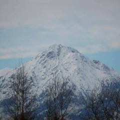 Gstehaus Stefanie - Bild 12