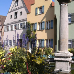 Hotel Haus Appelberg - Bild 9