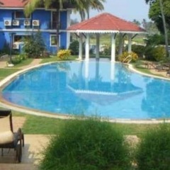 Апартаменты Seaside one Bedroom Apartment Индия, Южный Гоа - отзывы, цены и фото номеров - забронировать отель Seaside one Bedroom Apartment онлайн фото 14