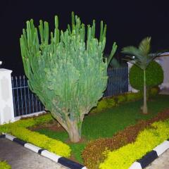 Kigali Guest House in Kigali, Rwanda from 49$, photos, reviews - zenhotels.com photo 24