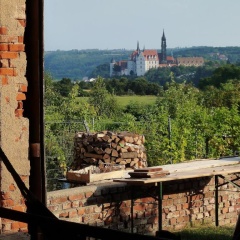 Quartier Rottewitz - Bild 6