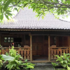 Lovina Beachhouse Villas - Bild 7