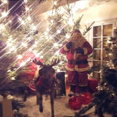 Hotel Daniel's - Bild 12