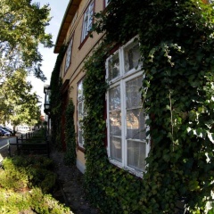 Ferienwohnung an der Schelfkirche - Bild 9