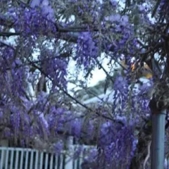 Guildford River Retreat thumbnail 34
