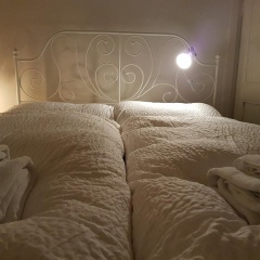 Basel Charme Apartments - Bild 5
