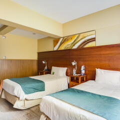 Hotel Panamericano in Santiago, Chile from 232$, photos, reviews - zenhotels.com photo 17