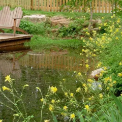 Sycamore Springs thumbnail 4