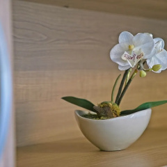 Guest House Matana Pomena thumbnail 43