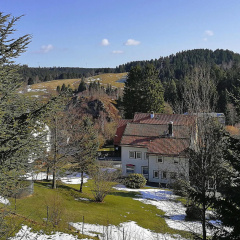 Apartment house to the fir tree, Altenau - Bild 9