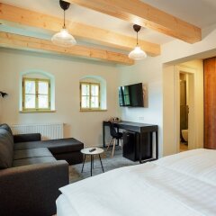 Отель Resla Residence Словакия, Банска-Штьявница - отзывы, цены и фото номеров - забронировать отель Resla Residence онлайн фото 21