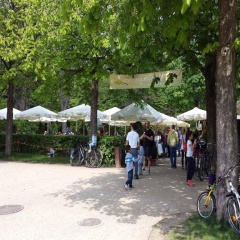 FeWo 2,4,5,6 Altstadt - Am grossen Garten - Bild 12