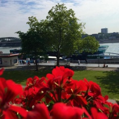 Hayk - Bild 12