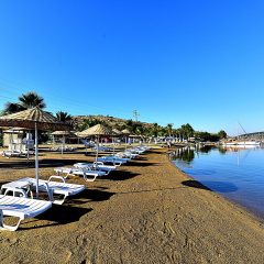 Tropicana Beach Hotel - Bild 15