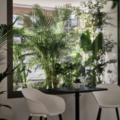 Bond Smart Living Suites - Bild 2
