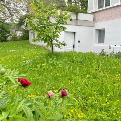 Studio in Stadtnähe Zürich mit guter Verkehrsanbindung - Bild 10