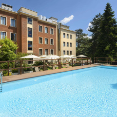Occidental Aurelia - Bild 15