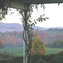 The Red Horse Inn thumbnail 39