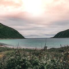 Отель Buvik Sea Lodge Норвегия, Тромсе - отзывы, цены и фото номеров - забронировать отель Buvik Sea Lodge онлайн фото 11