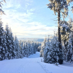 Holiday Home Harzhaus Time out - Bild 16