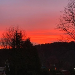 Harzstübl25 - Bild 6