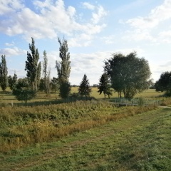 Alles Paletti - Bild 14