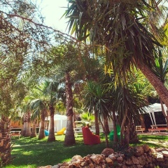 Akropol - Bild 15