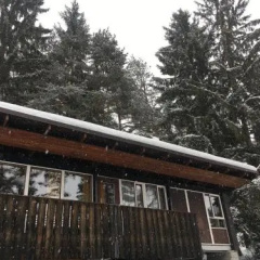 Villa Borca di Cadore thumbnail 1